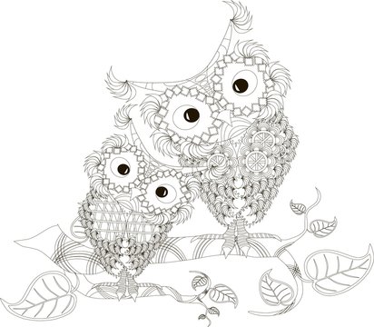 Zentangle stylized black and white two owls sitting on the tree branches, hand drawn, vector illustration