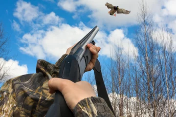 Poster handen van jager schieten van een jachtgeweer naar eend © rodimovpavel