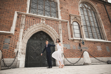 Fototapeta na wymiar Gorgeous wedding couple, bride, groom posing near old gate building
