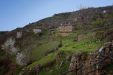 Fototapeta na wymiar Spring time at Spoluka village, Eastern Rhodopes, Bulgaria