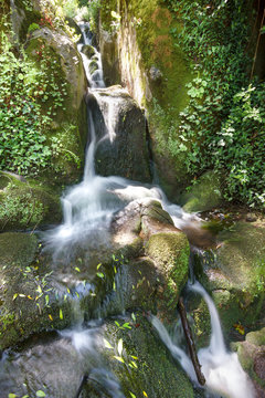 Natural cascade, water flowing from the forest