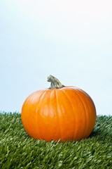 view of a halloween pumpkin over grass.