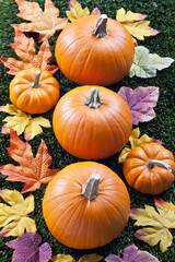 view of halloween pumpkins over grass.