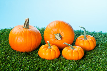 view of a halloween pumpkins over grass.