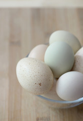 Raw eggs in different colors and sizes