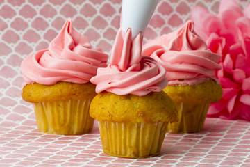 decorating cupcakes with an icing tube.