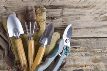 Gardening tools and equipment