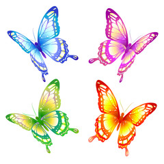 butterflies design