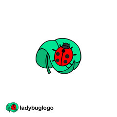Leaf logo and ladybug