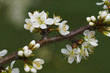 110_F_109872655_qSgo2iRt0R6MmhMPMujClZqt6SYWL9D2.jpg