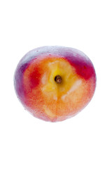 close-up shot of a fresh peach.