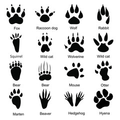 Set of sixteen animals paw print icons