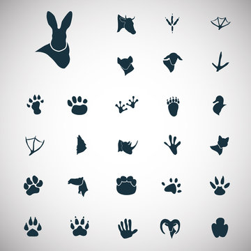 Set of twenty seven animal icons