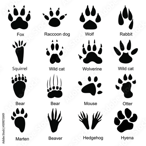 "Set of sixteen animals paw print icons" Stock image and royalty-free ...