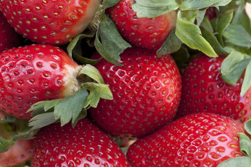 sweet and red strawberries