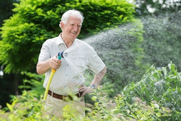 Fototapeta premium Gardener watering the plants
