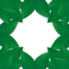 Fototapeta premium Green Leafs. Vector illustration and Background.