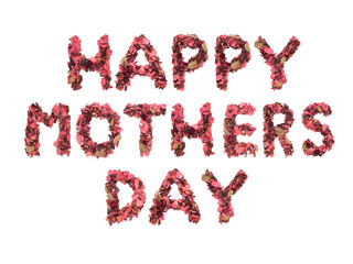 Happy Mother's Day wording from red dried flowers