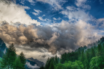 Cloudy sky over the forest