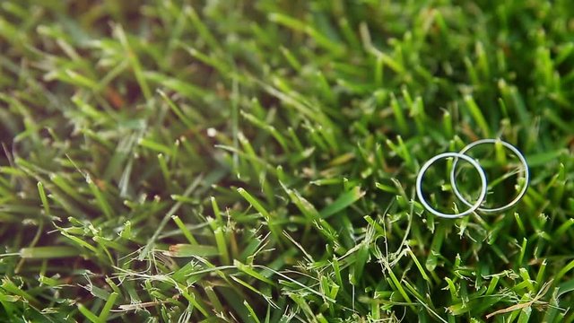 HD footage. Rings for bride and groom in grass. HD.