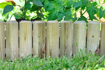 bordure bois dans potager 
