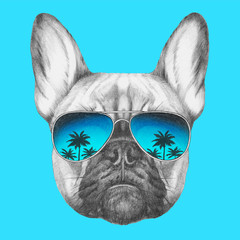Portrait of French Bulldog with mirror sunglasses. Hand drawn illustration.