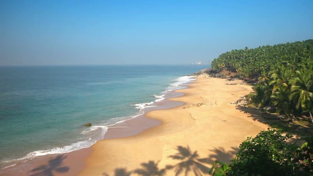 Paradise beach with palm trees, aerial view. Kerala, India.