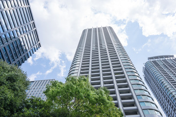 爽やかな緑のビジネス街のイメージ