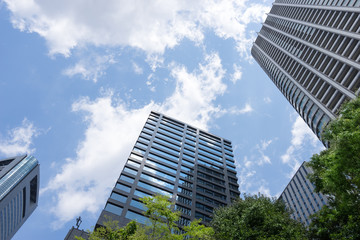 爽やかな緑のビジネス街のイメージ