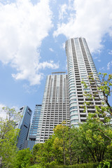 爽やかな緑に囲まれたタワーマンション