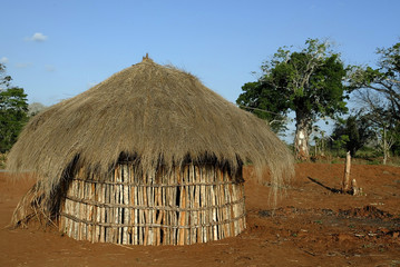 Fototapeta na wymiar tribal hut in a village in Mozambique