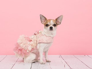 Wearing a pink dress