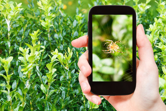 farmer photographs spider on web on boxtree