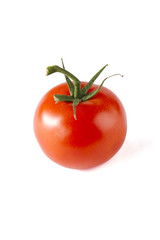 juicy tomato