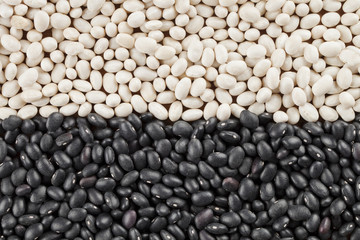 close up view of of black and white beans