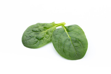 Spinach on the isolated white.