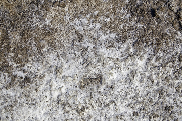 soil salt crystals,