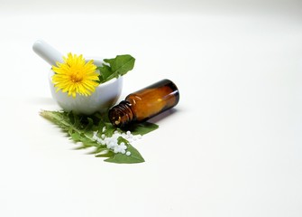 Löwenzahn, Taraxacum , Homöopathie