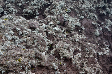 volcanic rock detail photo of nature stone