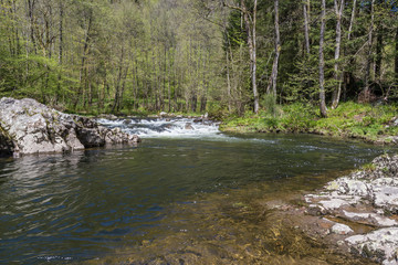 Rivière la Moselotte