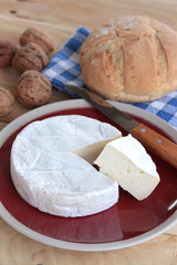 camembert 06052016