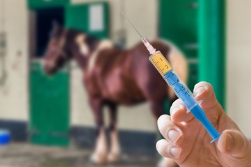 Naklejka premium Ręka weterynarza trzyma strzykawkę. Koń w tle. Koncepcja szczepień.