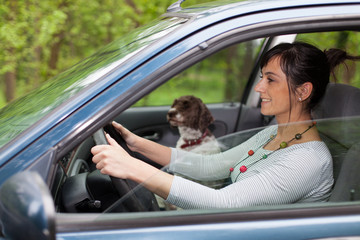woman driving car with a dog
