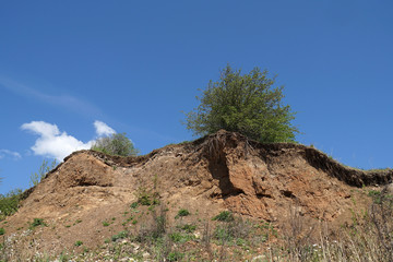 bluff