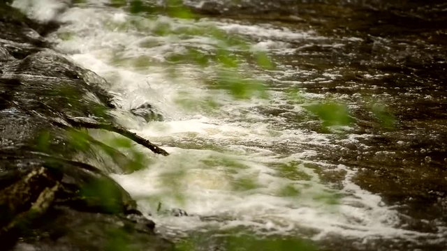 Roztoczański strumień na rzece Tanew