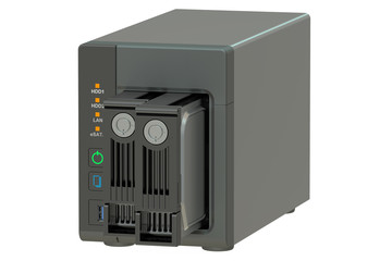 Fototapeta premium NAS with two disks, 3D rendering