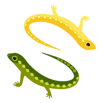 Decorative funny yellow and green lizard on a white background.