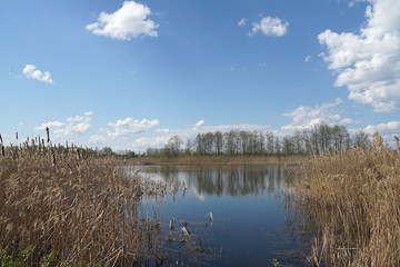 river