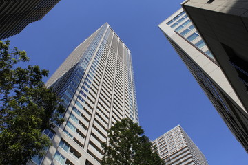 マンション　月島周辺