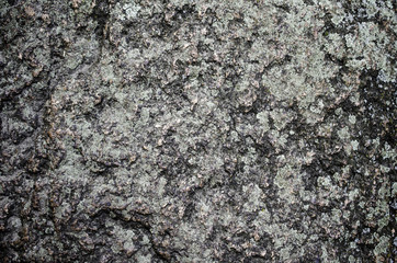 Rock surface background.